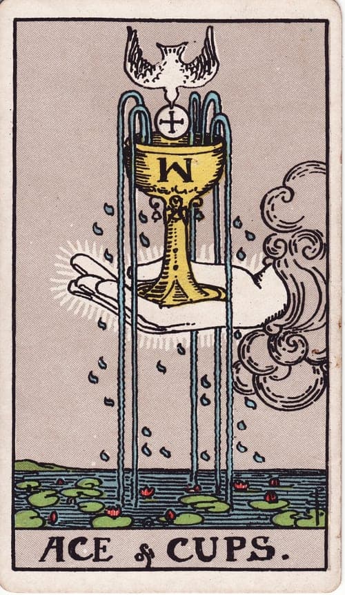 Ace of Cups tarot card